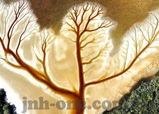 球探足球比分下载-球探足球比分下载，开启足球数据新视界