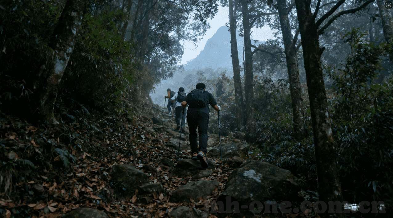 永利皇宫娱乐网站-永利皇宫，新时代的璀璨明珠